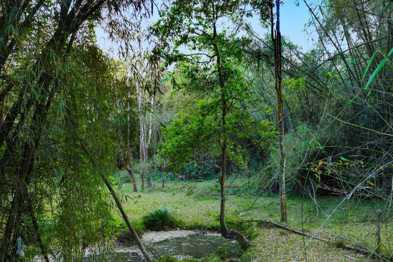Keys Prima By Lemon Tree Hotels, Thekkady Extérieur photo